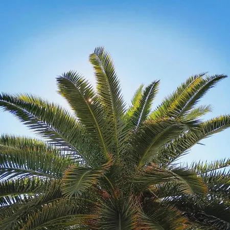 Michelle - Intermezzo With Sea View Рабац