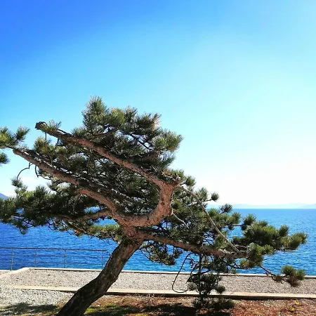 Apartment Michelle - Intermezzo With Sea View