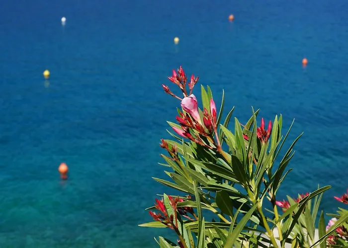 Michelle - Intermezzo With Sea View *