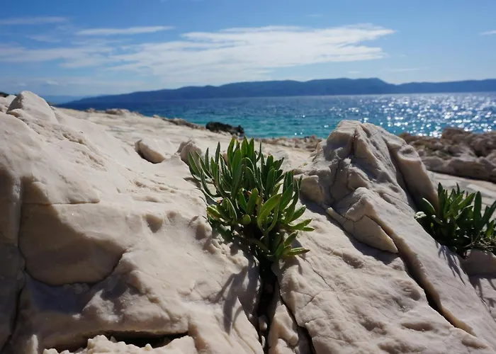 Lejlighed Michelle - Intermezzo With Sea View