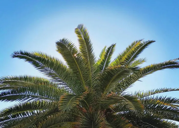 Michelle - Intermezzo With Sea View Rabac