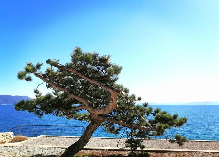 Lejlighed Michelle - Intermezzo With Sea View