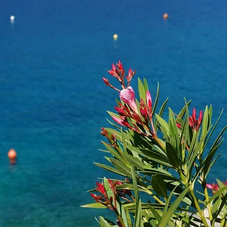 Michelle - Intermezzo With Sea View *